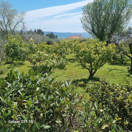 Apartment Green Oasis Split Bagian luar foto